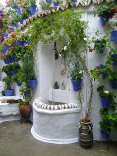 a fountain surrounded by potted plants in front of a white wall with blue and pink flowers