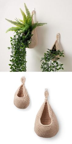 two pictures with plants in them, one is hanging from the wall and another has a potted plant