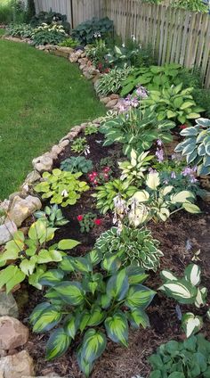 a garden filled with lots of different types of flowers and plants next to a wooden fence