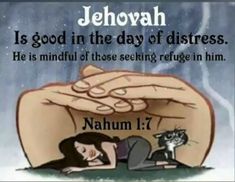 an image of a hand holding a cat with the caption jehovah is good in the day of distresss he is mindful of those seeking refuge in him