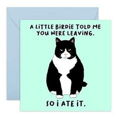 a little bride told me you were leaving so i ate it card with a black and white cat