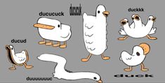 some cartoon birds with different expressions on their faces and legs, one is white and the other is brown