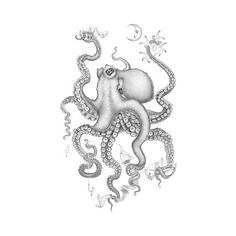 an octopus with tentacles and bubbles on it's back