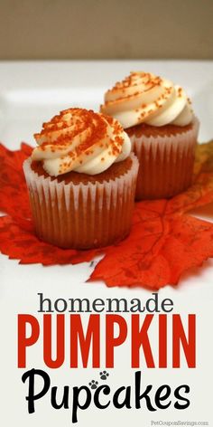 homemade pumpkin cupcakes with cream cheese frosting and maple leaves on the side