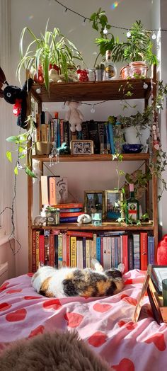 Sunny bedroom shelves plants Cozy Cottage Bedroom, Home Decor Storage, Wood Bookshelf, Chemical Substances, Decor Storage, Pinterest Room Decor, Cozy Room Decor, Dreamy Room, Dream Room Inspiration