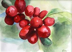 a painting of some red berries on a green leafy branch with watercolors