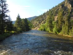 a river running through a forest filled with lots of tall pine tree covered mountains in the distance