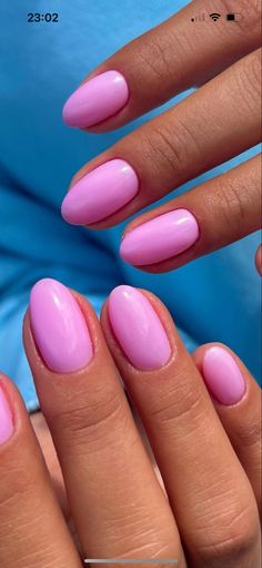 Round Dip Nails, Pink Shellac Nails, Nails One Color, Nails 2017, Beauty Hacks Nails, One Color Nails, Color Nails, Cute Gel Nails, Bright Nails