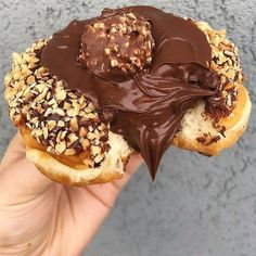 a hand holding a chocolate covered doughnut with sprinkles and nuts on it