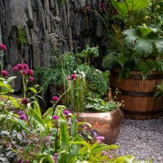 a garden filled with lots of plants next to a stone wall and wooden barrel planters