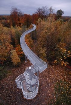 an aerial view of a curved road in the woods with trees around it and leaves on the ground