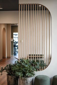 two potted plants sitting next to each other on top of a wooden floor in front of a mirror