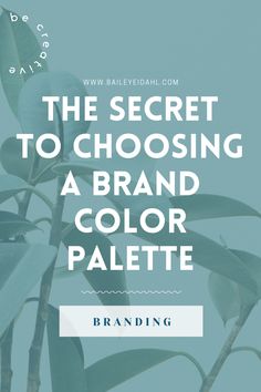 a plant with the words, the secret to choosing a brand color palette on it