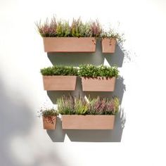 three wooden planters filled with different types of plants on a white wall behind them