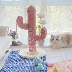 two cats laying on the floor next to a pink cactus shaped cat scratch toy in front of a window