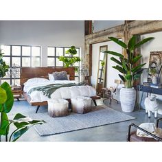 a large bed sitting in the middle of a bedroom next to two plant filled windows