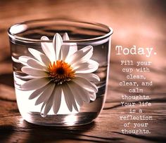 a white flower in a glass vase with a quote on the side that says today