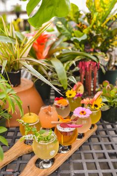 various drinks are lined up on a tray in front of potted plants and succulents