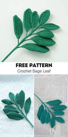 crochet sage leaf pattern is shown in three different stages and the same size