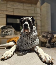 a dog is laying on the floor wearing a knitted scarf with his paws hanging out