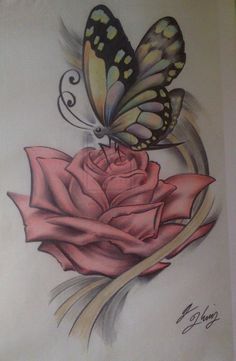 a drawing of a butterfly sitting on top of a rose