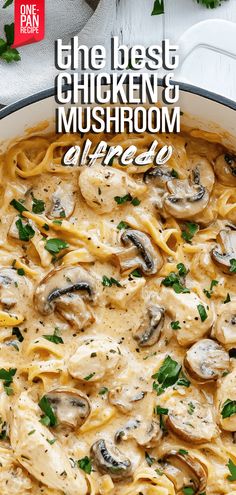 the best chicken and mushroom alfredo in a pan