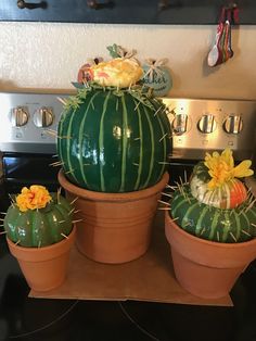 three potted cactus plants sitting on top of each other in front of an oven