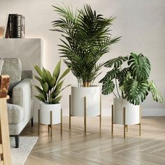 a living room filled with lots of plants in white vases next to a couch