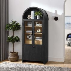 a black cabinet with glass doors in a living room next to a potted plant