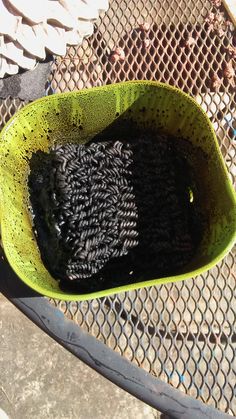 a green bowl filled with black stuff on top of a metal table