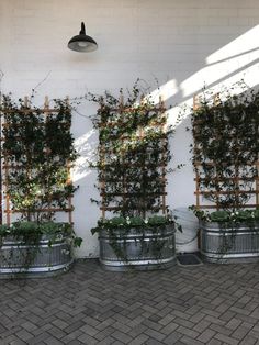 three metal buckets filled with plants next to a white brick wall and light fixture