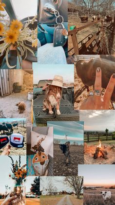 a collage of pictures with animals and people in them, including horses, cows, flowers, trees, and other things