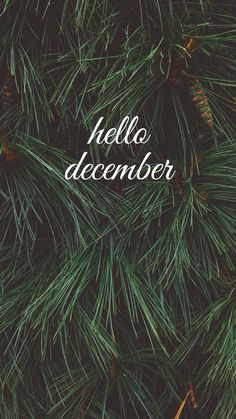 a pine tree with the words hello december written in white on it's branches