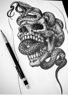 a pencil drawing of a skull and snake