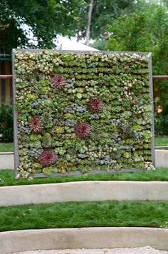 a large green wall in the middle of a park with plants growing on it's sides