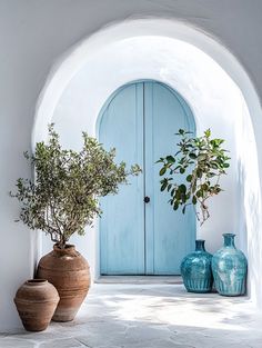 two vases with plants sit in front of a blue door on a white wall