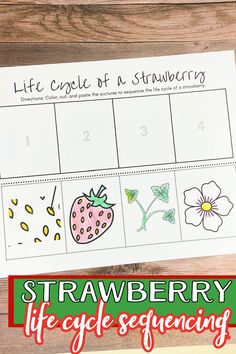 the life cycle of a strawberry is shown in this printable activity for toddlers