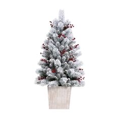 a small christmas tree in a pot with red berries on the top and white snow on the bottom