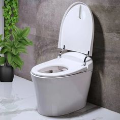 a white toilet sitting next to a potted plant