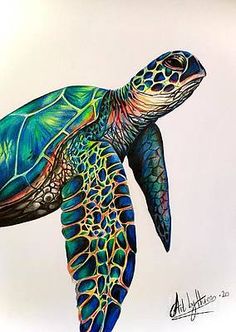 a painting of a green sea turtle