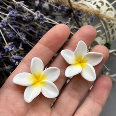 two small white and yellow flowers in someone's hand