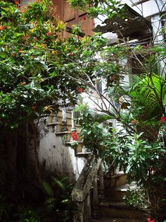 the stairs lead up to an old building with flowers growing on it and trees in front