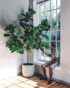 a man sitting on a window sill next to a potted plant