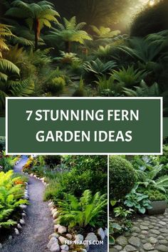 Lush fern garden with a variety of ferns and a winding stone path, promoting 7 stunning garden ideas from fernfacts.com. Fern House Ideas, Tropical Fern Garden, Ferns In Garden Beds, Australian Fern Garden, Fernery Ideas Design Shade Garden, Fern Garden Bed, Fern Landscaping Ideas