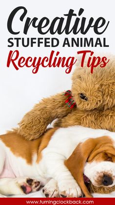 a brown and white dog laying next to a stuffed animal on top of it's back