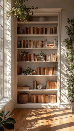 a bookshelf filled with lots of books next to a potted plant and window