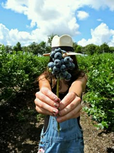 a woman wearing overalls and a hat holding grapes in front of her face while standing in a field