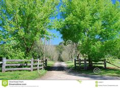 a dirt road surrounded by trees and a wooden fence