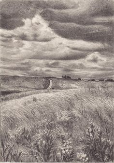 a pencil drawing of a field with clouds in the sky and grass on the ground