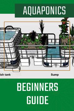 an illustrated guide to aquaponics for beginners